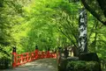 今熊野観音寺の写真_313427