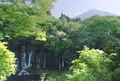 白糸の滝 展望台の写真_316169
