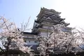 勝山城博物館の写真_413744