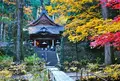 光前寺の写真_424985