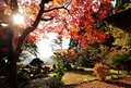 興聖寺の写真_444170