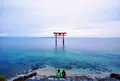 白鬚神社の写真_444264