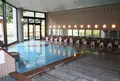 泰澄の杜の写真_455408