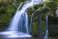 石樋の滝の写真_462831