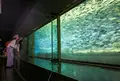 イヨボヤ会館の写真_468392