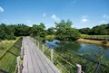 高鍋湿原の写真_523402