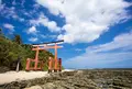 青島の写真_537110