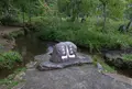 分水嶺公園の写真_662440