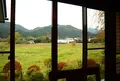 鹿沼市久我の写真_50661