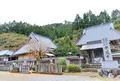 成願寺（中風寺）の写真_408466