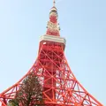 東京タワーの写真_131907