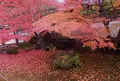 栗棘庵の写真_203790