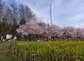 蘆花恒春園の写真_172029