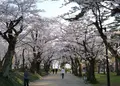 千秋公園の写真_130693