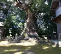 来宮神社の写真_217769