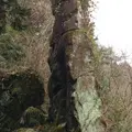 満願寺の写真_58771