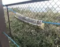 長井海の手公園ソレイユの丘の写真_271960