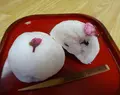 野田屋菓子舗の写真_258142