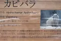 高鼻町４丁目の写真_27569