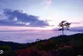 太平山休憩展望所（みはらし荘）の写真_1444075