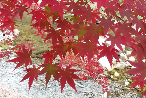 青井岳自然公園