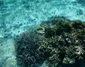 シギラビーチの写真_202201