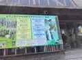 フォレストアドベンチャー・祖谷の写真_1641531