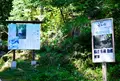 飛龍の滝の写真_38106