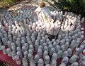 野間大坊の写真_25982