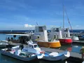 Discoverlamay探索拉美の写真_1171335