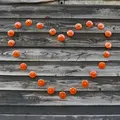 写真スポットは至る所にの写真_181661