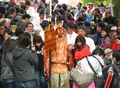熊野神社の写真_27430