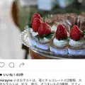 ミレイネの写真_209305