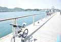 尾道市の写真_76130