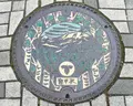 旧軽井沢銀座の写真_512075