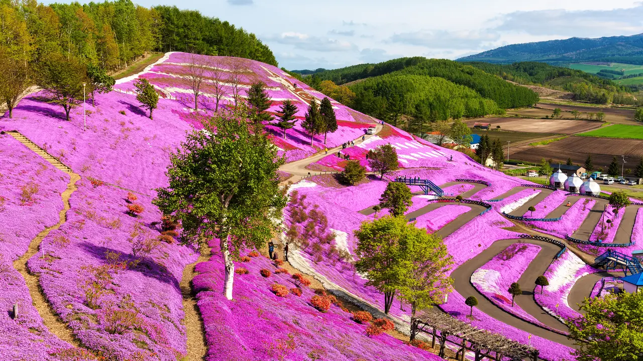 23293.jpg?1736816528