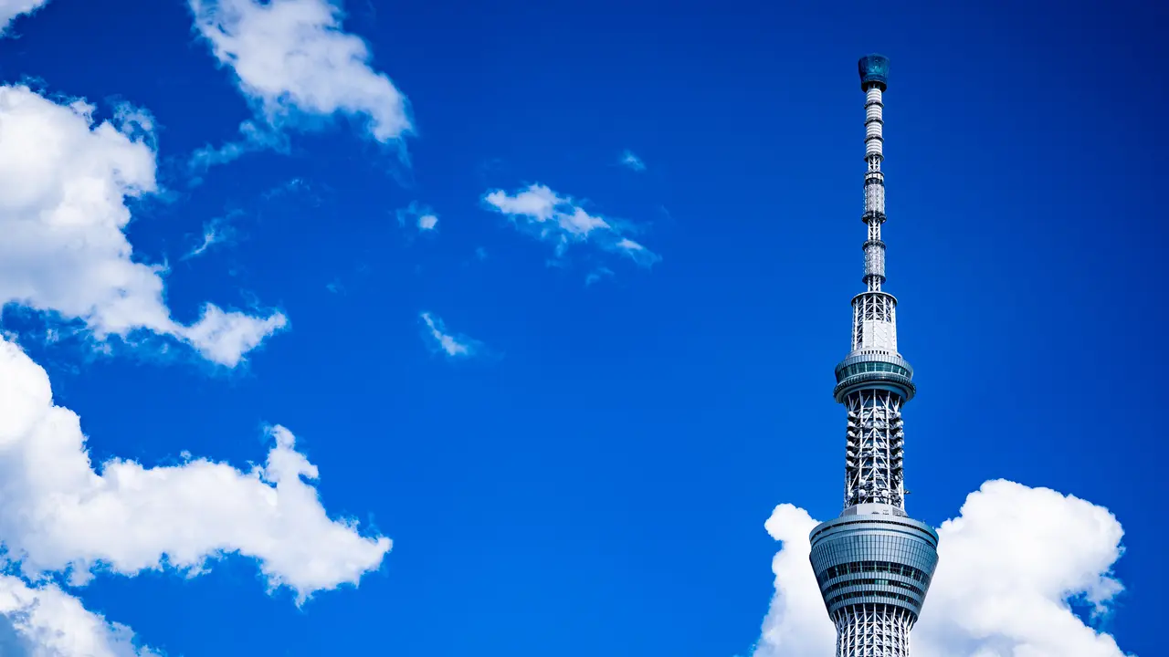 24891.jpg?1635309671