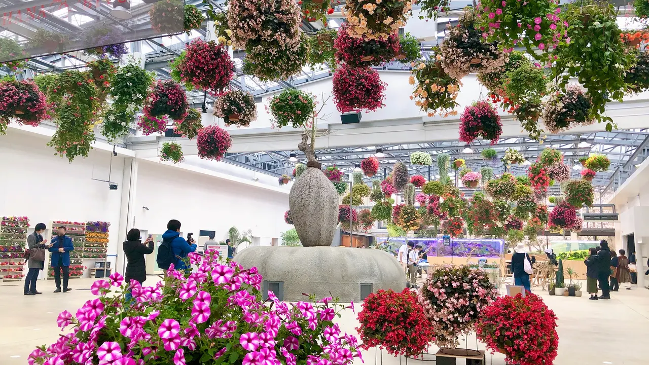 HANA・BIYORI（ハナビヨリ）の楽しみ方完全ガイド】デジタルと融合した