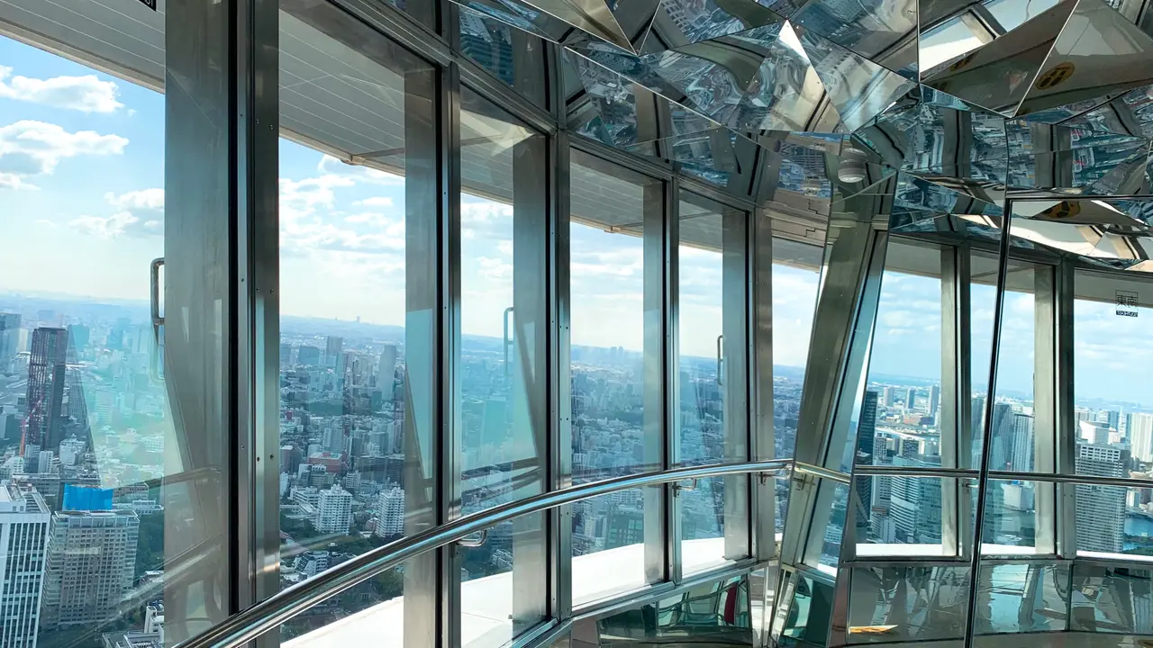 31342.jpg?1607492454