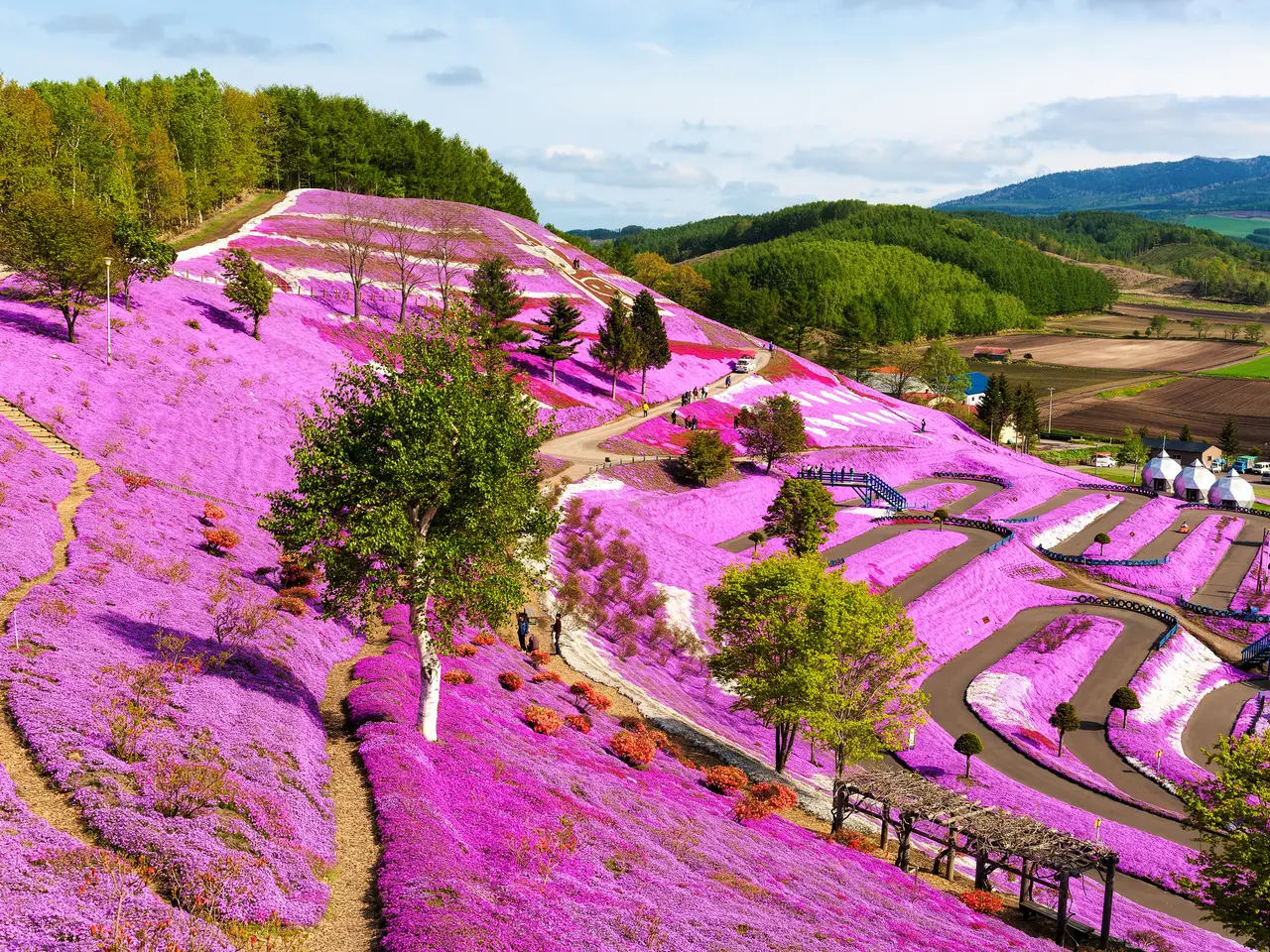 北海道観光】5月はここをチェック！ | Holiday [ホリデー]