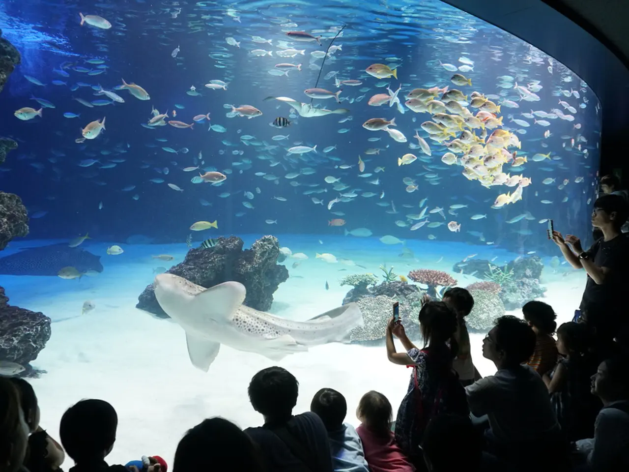 池袋 サンシャイン 水族館