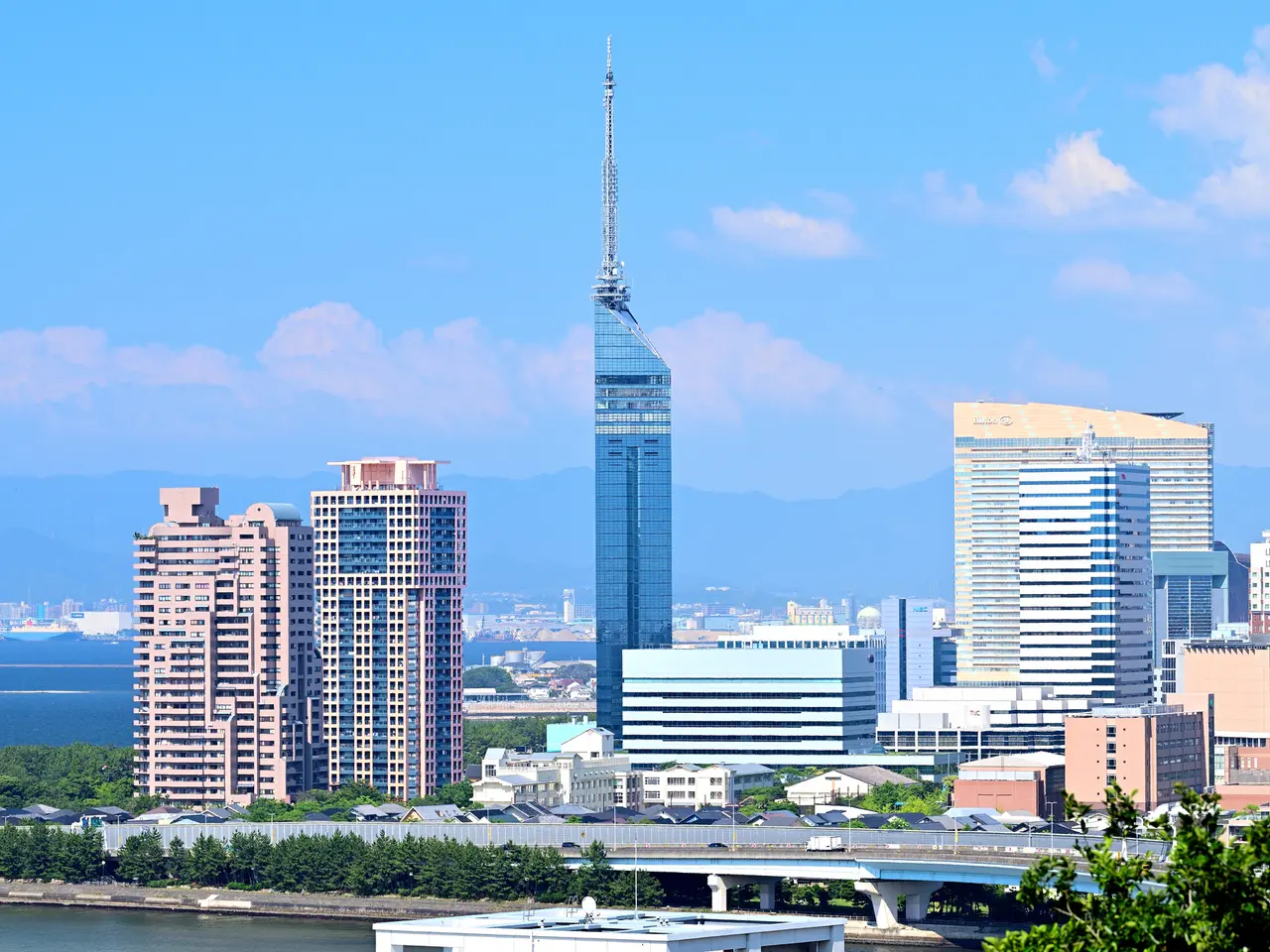 福岡タワー楽しみ方完全ガイド】家族から恋人同士まで幅広い世代が