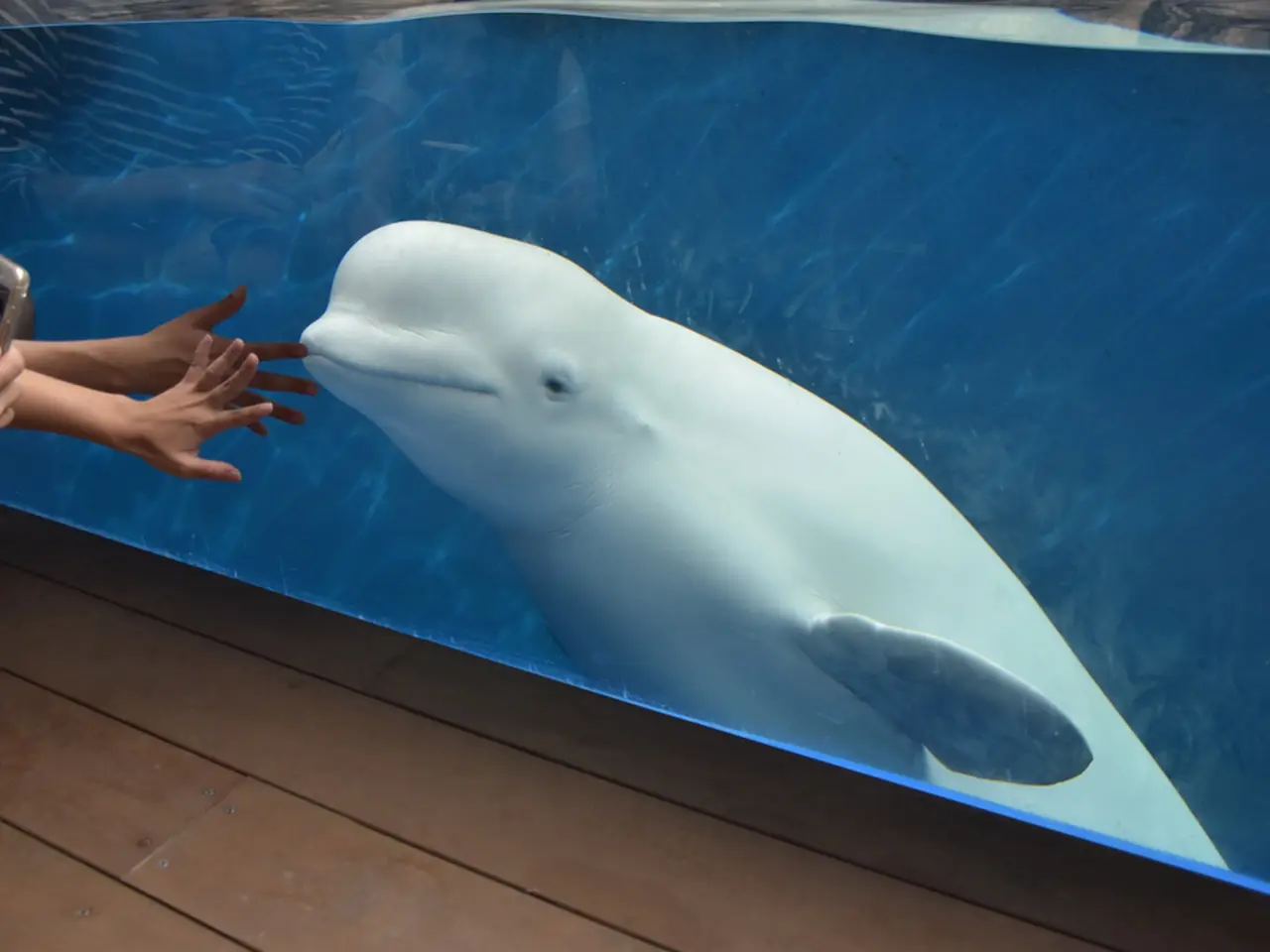 新潟 水族館 うみ が たり