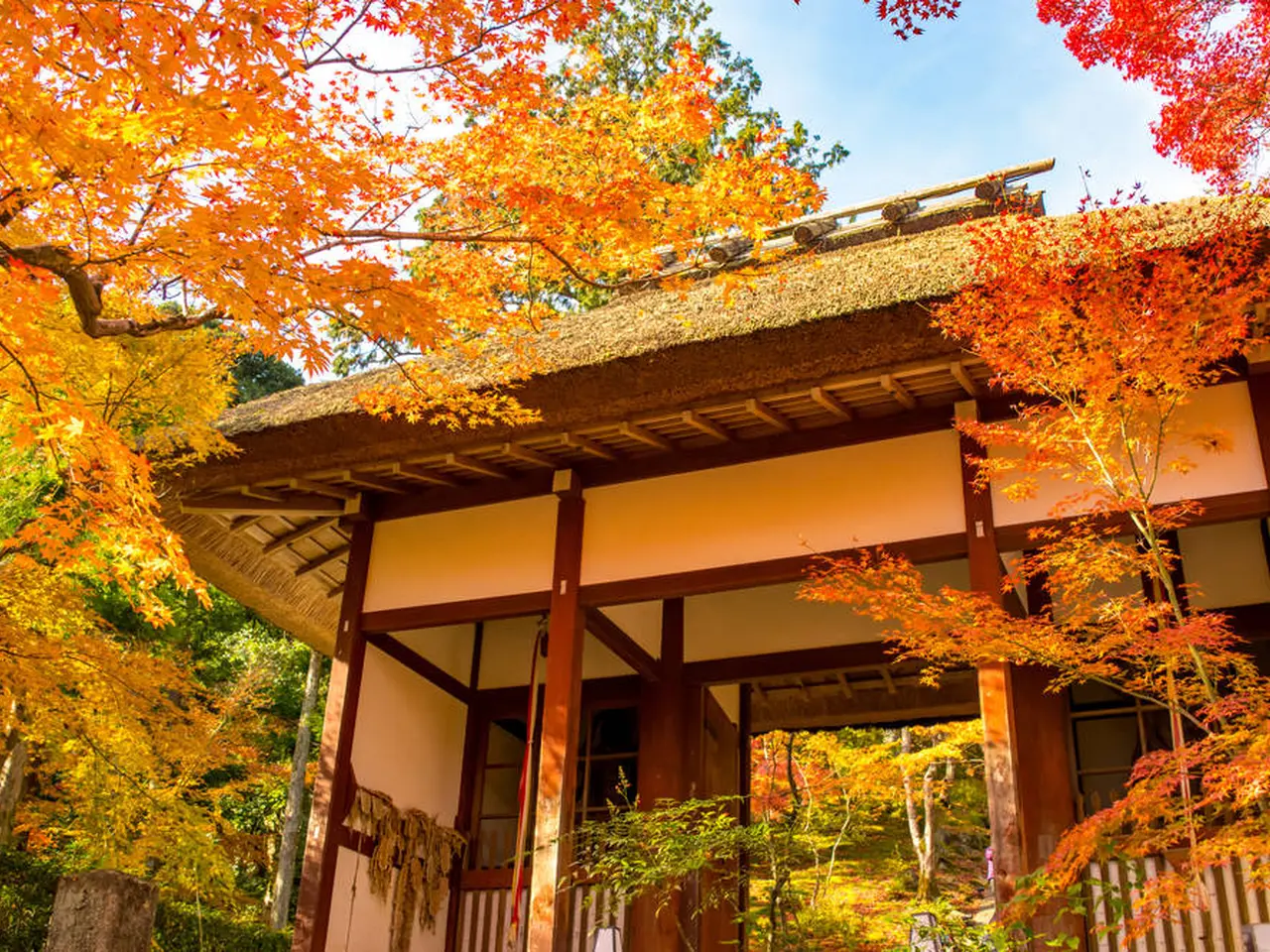 秋の嵐山・嵯峨野】紅葉を満喫する！おすすめスポットをご紹介 
