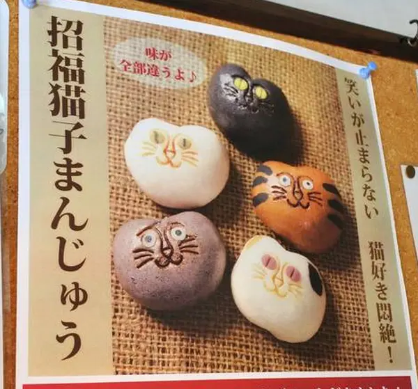 猫子饅頭から目が離せない
