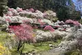 すみよしやの写真_233015
