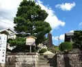 一乗寺下り松の写真_172446