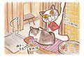 猫町ギャラリーの写真_52703