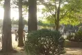 万代池公園の写真_165532