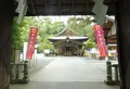 井伊谷宮の写真_186564